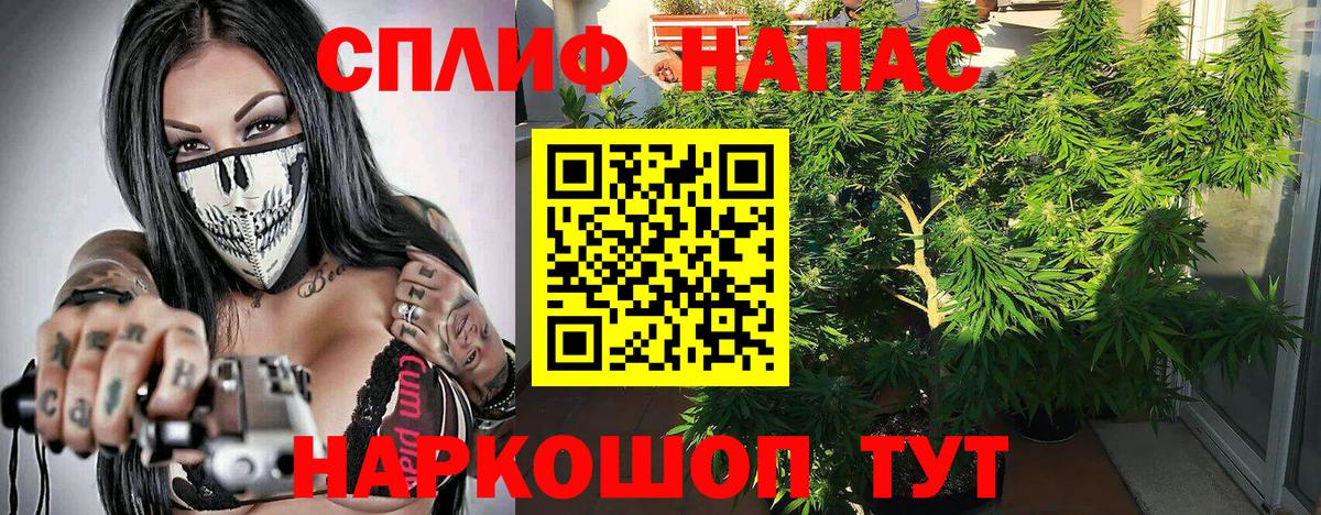 Бошки марихуана конопля  Марихуана индика  Вход с VPN  Бошки Шишки VHQ  Татарск 